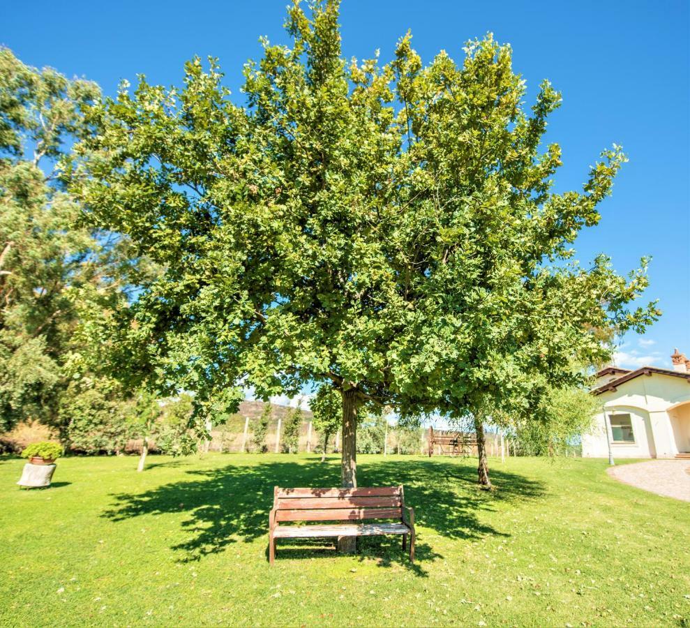 Villa Gli Eucalipti チェルヴェーテリ エクステリア 写真