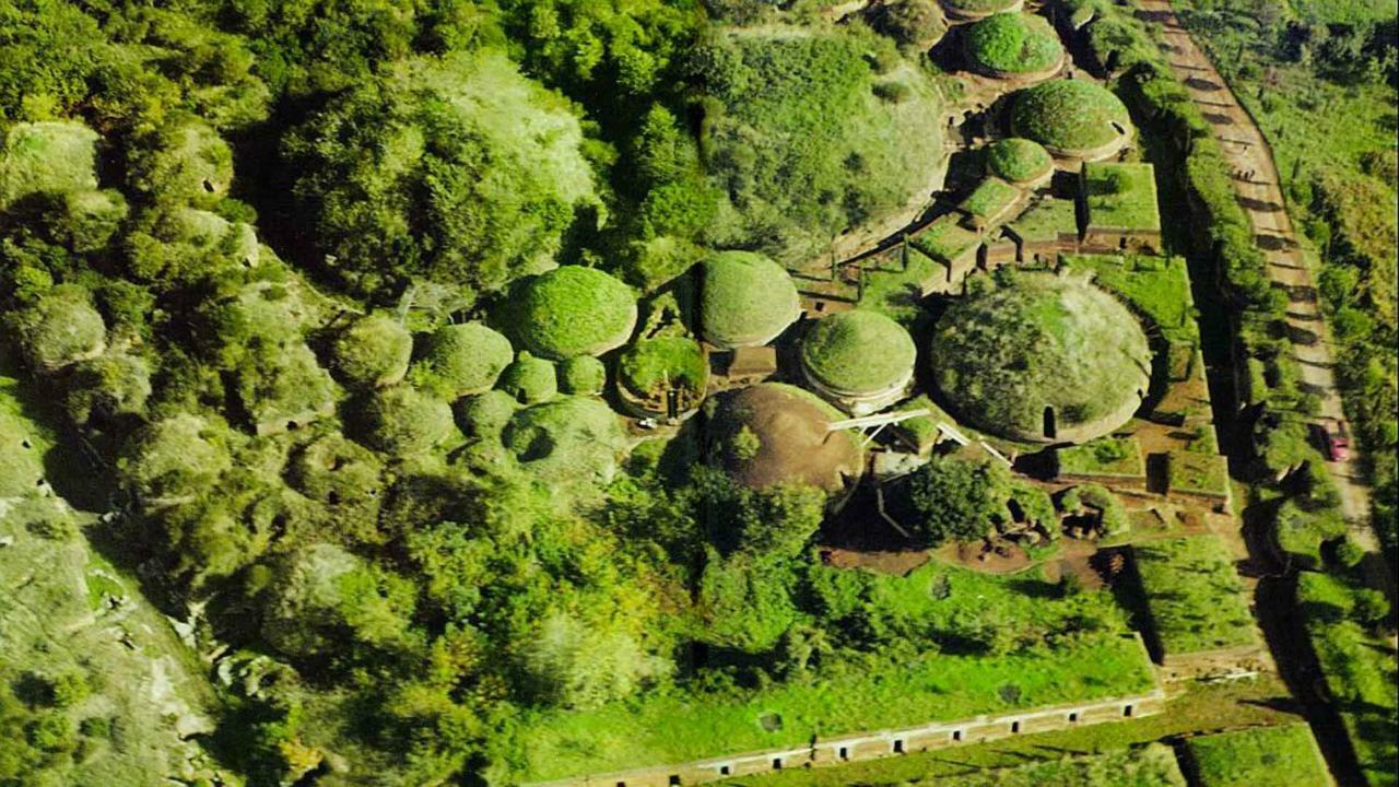 Villa Gli Eucalipti チェルヴェーテリ エクステリア 写真